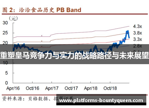 重塑皇马竞争力与实力的战略路径与未来展望 重塑皇马竞争力与实力的战略路径与未来展望