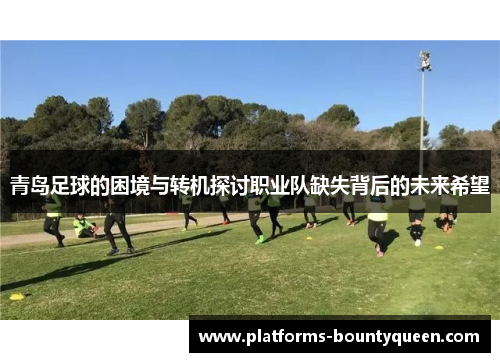 青岛足球的困境与转机探讨职业队缺失背后的未来希望